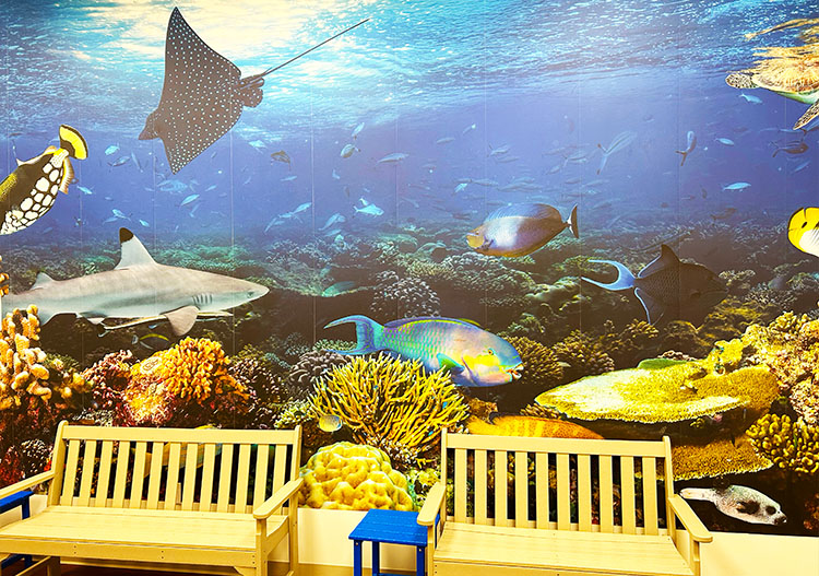 The front door of the Richmond Hill Pediatrics office, Suite B and the interior office.